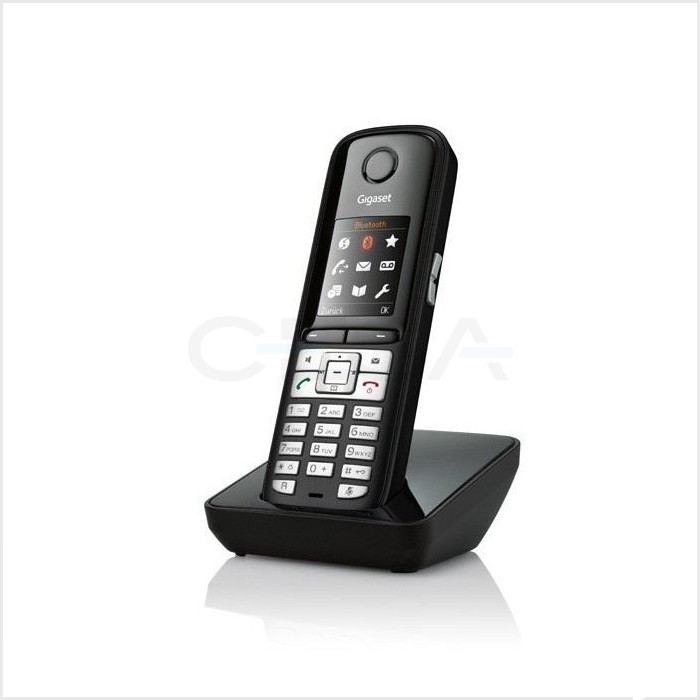 Gigaset S510 HSB Professional Dect Telefon 1